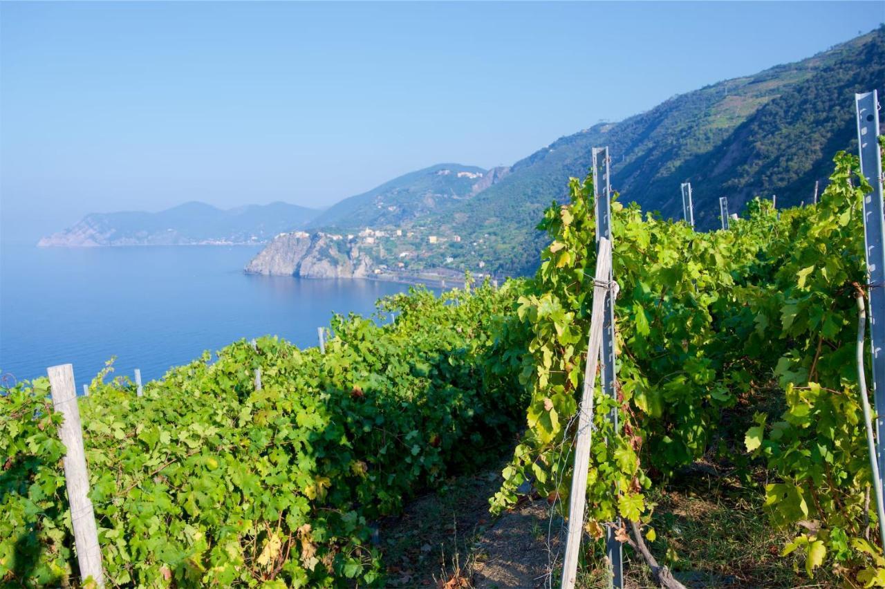 La Tua Casa Vicino A Portovenere Villa Le Grazie  Kültér fotó